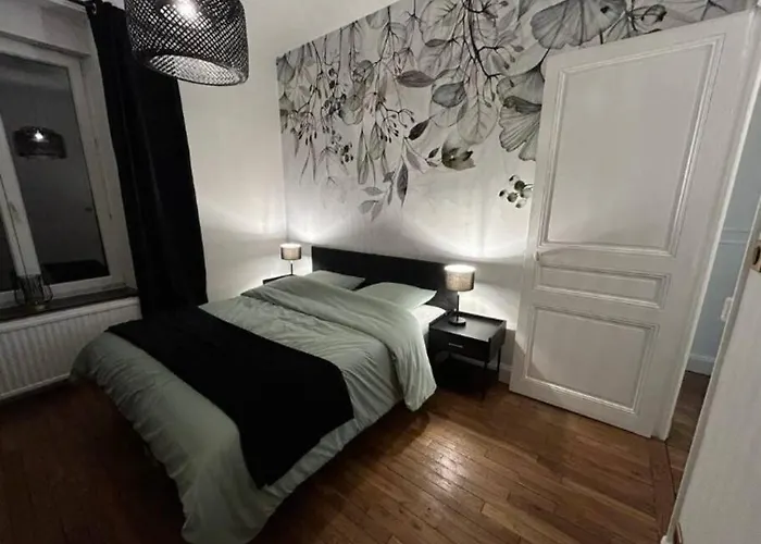 Le Blandan 171. F2 Quartier Nancy-thermal 公寓 *